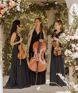 Musiciens à cordes pour mariage au Manoir Chamberland
